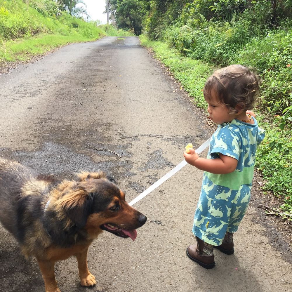 Meet your Posher, Anna